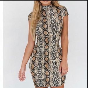 Nwot I.Am.Gia Snakeskin Python Bodycon Dress sz M